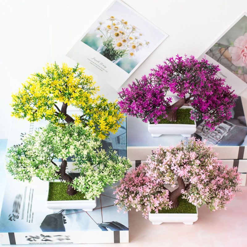 Bonsai Potted Plants