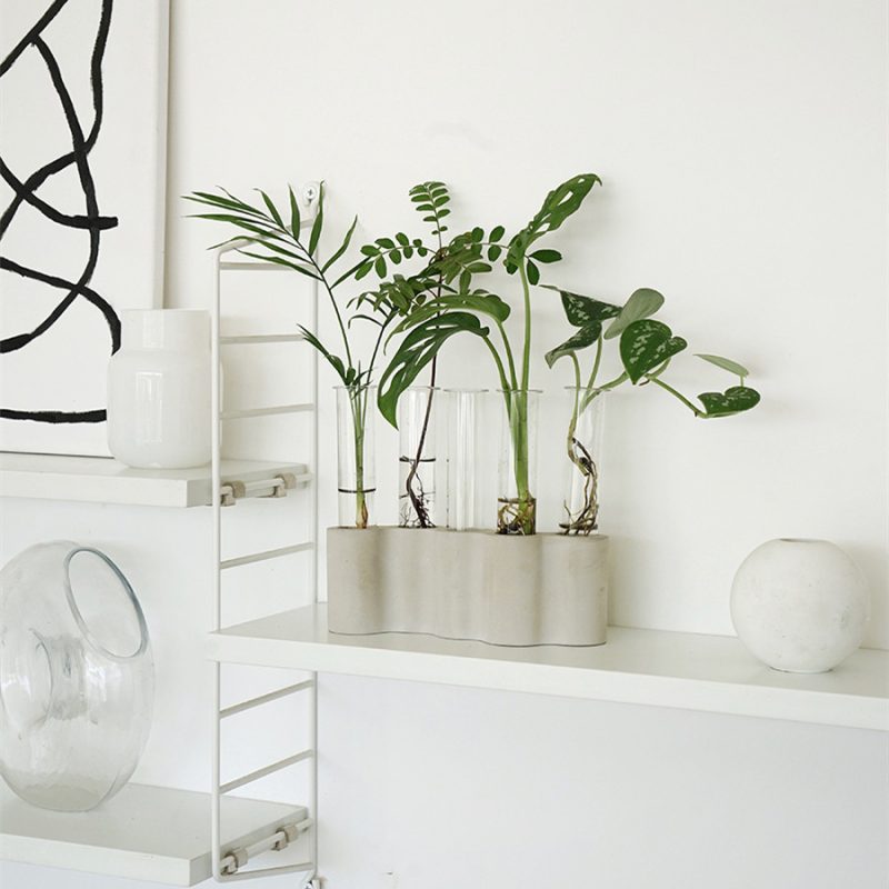 Hydroponic Plants Flowers Glass Test Tube Vase - Image 2