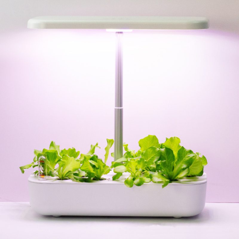Indoor Light Succulent Pot Planter - Image 6