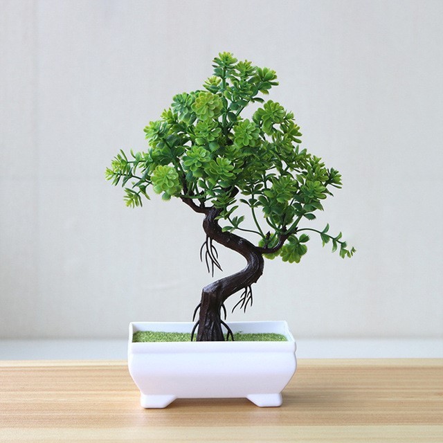 451a11cd-fa7b-4970-897f-2726d032ffd8.jpg
