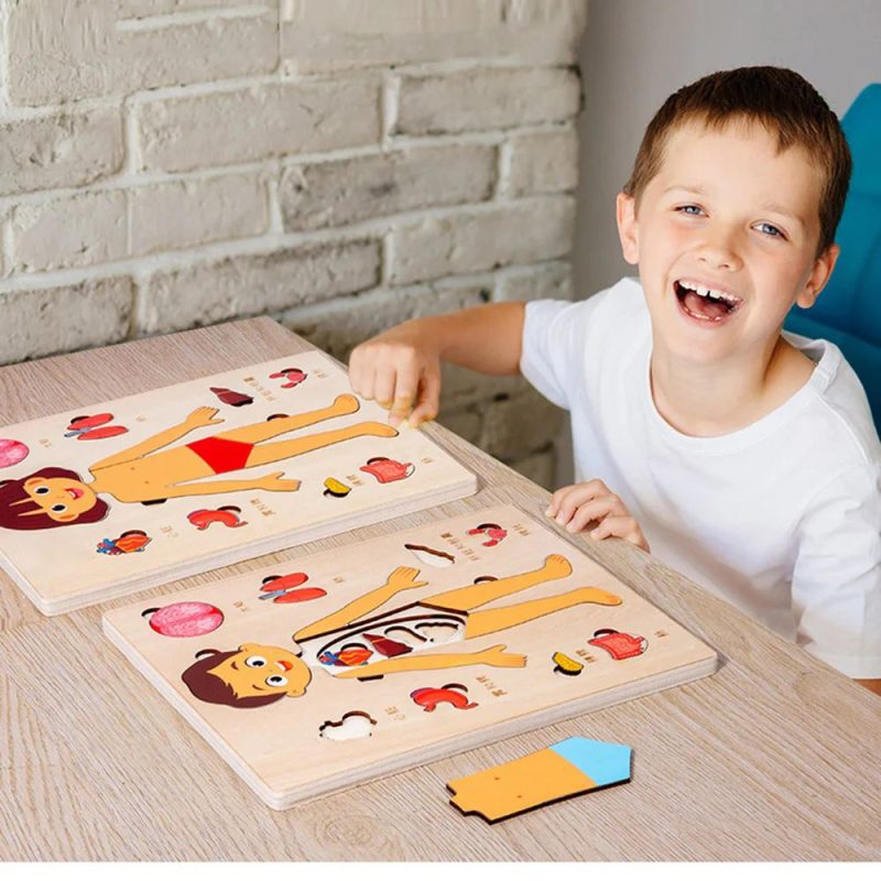 Human Body Organs Wooden Montessori Puzzles Toy - Image 10