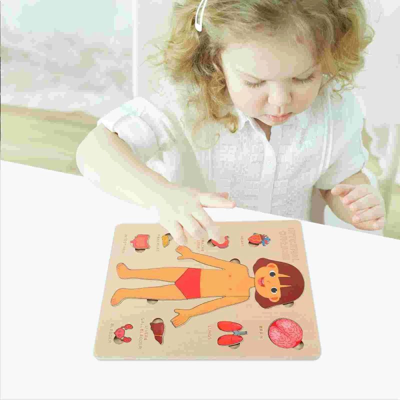 Human Body Organs Wooden Montessori Puzzles Toy - Image 2