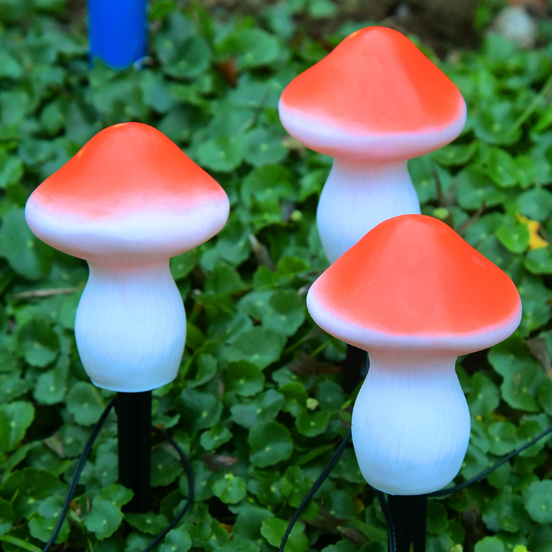 743a35b6-668d-42eb-b0b8-6d8d0aa733d7.jpg
