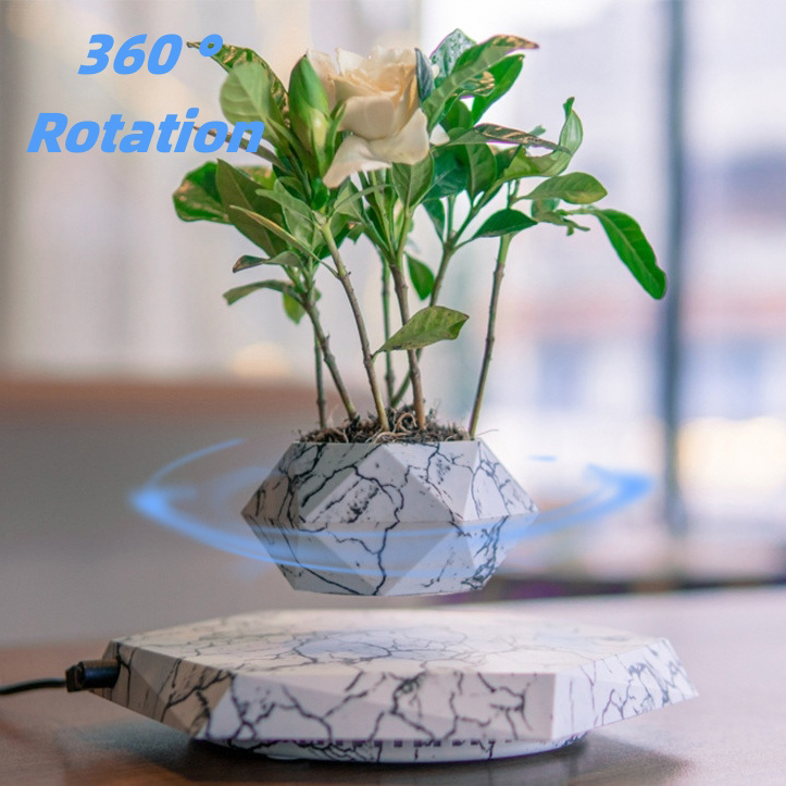 9e8ac413-f3e3-4d28-a1a4-39c0c6cff2da.jpg