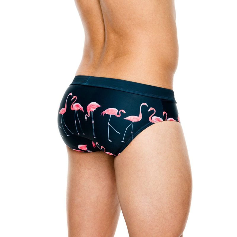 Men's Printed Swim Briefs - Image 4
