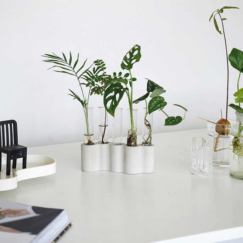 Hydroponic Plants Flowers Glass Test Tube Vase - Image 3