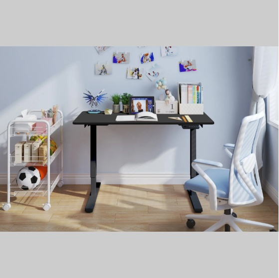 Adjustable Electric Stand Up Office Desk