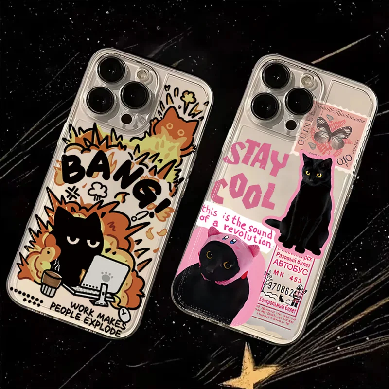 Creative Black Cat Transparent Phone Case For iPhone