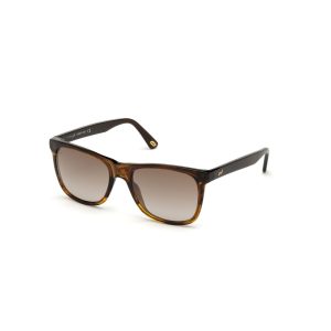 Brown Acetate Sunglasses