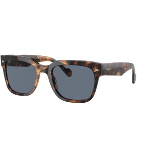 Brown Acetate Sunglasses