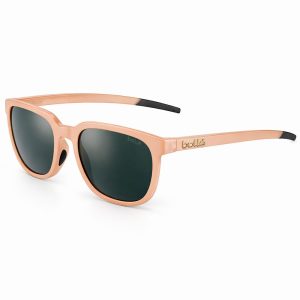 Multicolor Nylon Sunglasses