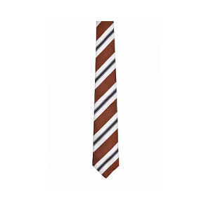 Brown Silk Tie