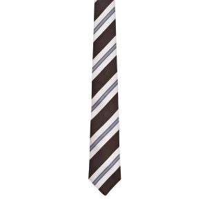 Multicolor Silk Tie