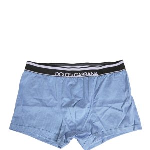 Blue D&G Logo Cotton Regular Boxer Underwear