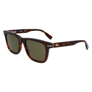 Brown Acetate Sunglasses