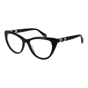 Black Plastic Glasses (Frames)