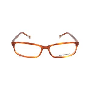 Brown Plastic Glasses (Frames)