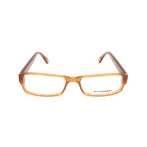 Brown Plastic Glasses (Frames)