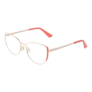 Orange Metal Glasses (Frames)