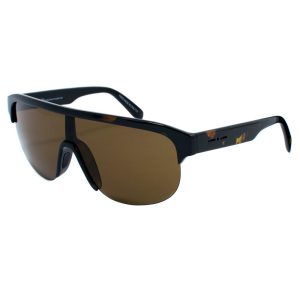 Brown Acetate Sunglasses