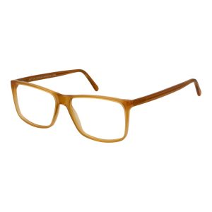 Bicolor Acetate Glasses (Frames)