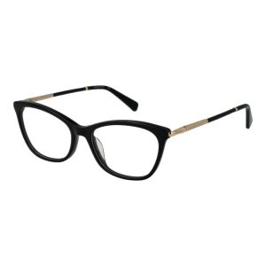 Black Plastic Glasses (Frames)