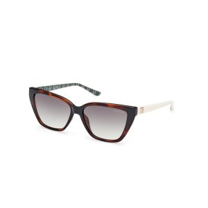 Brown Resin Sunglasses